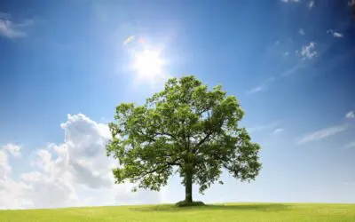 Gagner en confiance en vous !